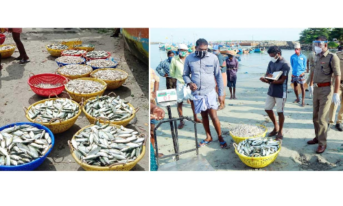 കൊച്ചി ഹാർബറിൽനിന്ന് ബോട്ടുകൾ മത്സ്യബന്ധനത്തിന്