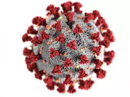 കുവൈത്തിൽ 643 പേർക്ക്​ കൂടി കോവിഡ്​; 610 പേർക്ക്​ രോഗമുക്​തി