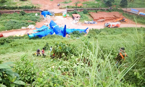 വിമാനത്താവളത്തിന്​ ചുറ്റും കാട്​ വെട്ടിത്തുടങ്ങി