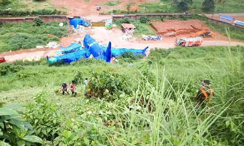 വിമാനത്താവളത്തിന്​ ചുറ്റും കാട്​ വെട്ടിത്തുടങ്ങി