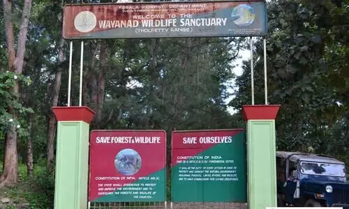 മുത്തങ്ങയിലും തോൽപെട്ടിയിലും സഞ്ചാരികൾക്ക് ഇന്നു മുതൽ പ്രവേശനം