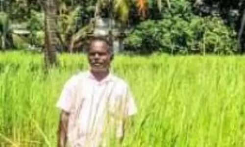 ഓമനക്കുട്ടൻ രാഷ്​ട്രീയത്തിരക്കിലും കൃഷിയിൽ സജീവം