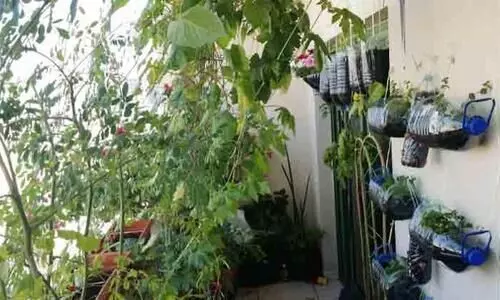 വെ​റു​തെ ക​ള​യേ​ണ്ട പാ​ഴ്​​വ​സ്​​തു​ക്ക​ൾ