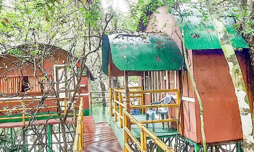 സഞ്ചാരികളെക്കാത്ത് അടവിയിലെ മുളങ്കുടിലുകൾ