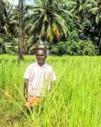ഓമനക്കുട്ടൻ രാഷ്ട്രീയത്തിരക്കിലും കൃഷിയിൽ സജീവം ഓമനക്കുട്ടൻ രാഷ്ട്രീയത്തിരക്കിലും കൃഷിയിൽ സജീവം