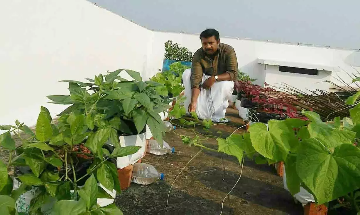 ടെ​​റ​​സിലും ഫ്ലാറ്റിലുമാകാം പച്ചക്കറിത്തോട്ടം