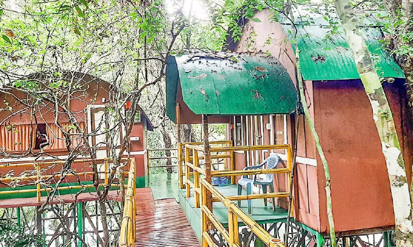 സഞ്ചാരികളെക്കാത്ത് അടവിയിലെ മുളങ്കുടിലുകൾ