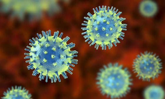 കോവിഡ്: സൗദി അറേബ്യയിൽ 781 പുതിയ കേസുകളും 30 മരണവും കോവിഡ്: സൗദി അറേബ്യയിൽ 781 പുതിയ കേസുകളും 30 മരണവും