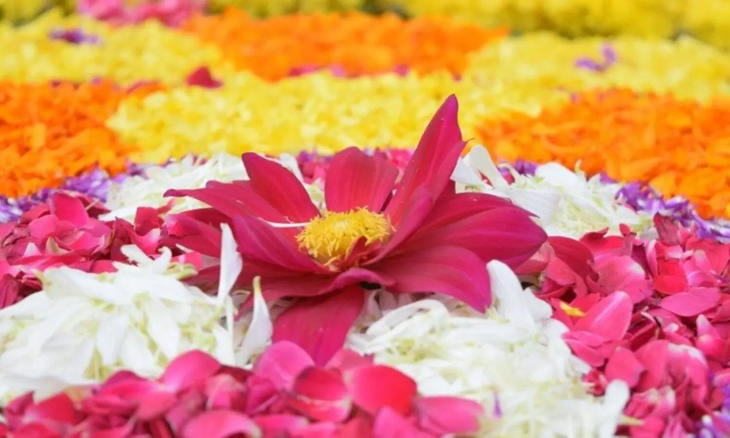 ഒാണം ശമ്പളവും പെൻഷനും വിതരണത്തിന്​ ട്രഷറികളിൽ സംവിധാനം