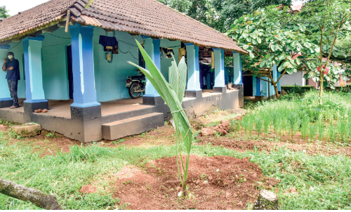 വിളവെടുപ്പിന്​ കാത്തുനിൽക്കാതെ തോട്ടക്കാരൻ യാത്രയായി