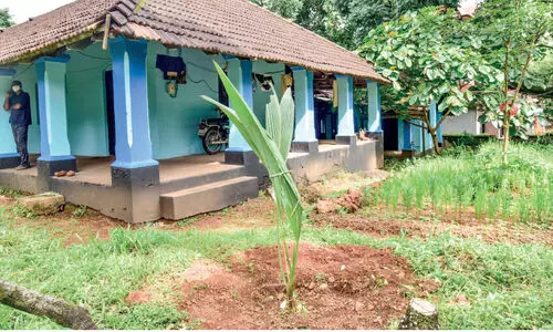 വിളവെടുപ്പിന്​ കാത്തുനിൽക്കാതെ തോട്ടക്കാരൻ യാത്രയായി