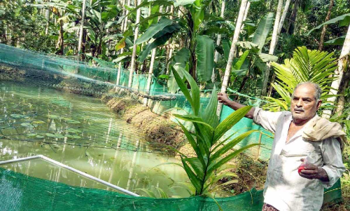 പാടത്തും പറമ്പത്തും നൂറുമേനി കൊയ്​ത്​ ആണ്ടിക്കുട്ടി