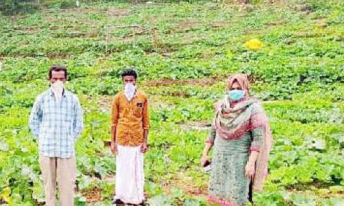 തരിശുനിലങ്ങളിൽ വിജയം കൊയ്ത് സലാം