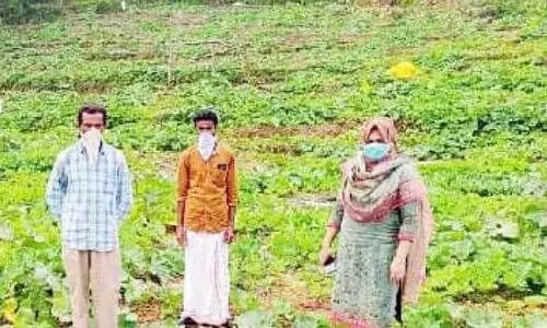 തരിശുനിലങ്ങളിൽ വിജയം കൊയ്ത് സലാം