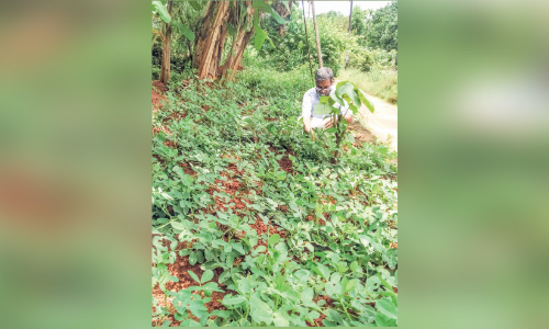 ​വ്യ​വ​സാ​യ​ങ്ങ​ള്‍ കൈ​വി​ട്ട​പ്പോ​ഴും പ​ത​റാ​തെ ഉ​ണ്ണി