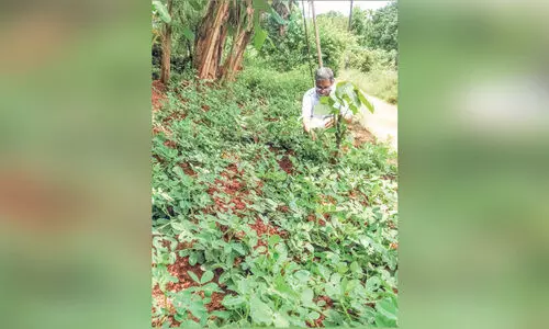 ​വ്യ​വ​സാ​യ​ങ്ങ​ള്‍ കൈ​വി​ട്ട​പ്പോ​ഴും പ​ത​റാ​തെ ഉ​ണ്ണി