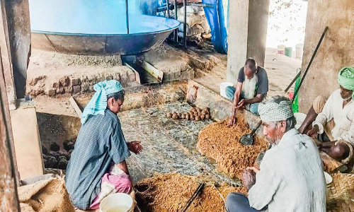 ഭൗമസൂചിക പദവിയും കിട്ടി; പ​െക്ഷ മറയൂര്‍ ശര്‍ക്കര സർക്കാറിനും വേണ്ട