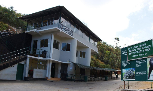 വിനോദസഞ്ചാരികളുടെ ഇഷ്​ടകേന്ദ്രങ്ങൾ തുറന്നു; ആരും എത്തിയില്ല