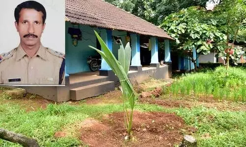 വിളവെടുപ്പിന്​ കാത്തുനിൽക്കാതെ തോട്ടക്കാരൻ യാത്രയായി