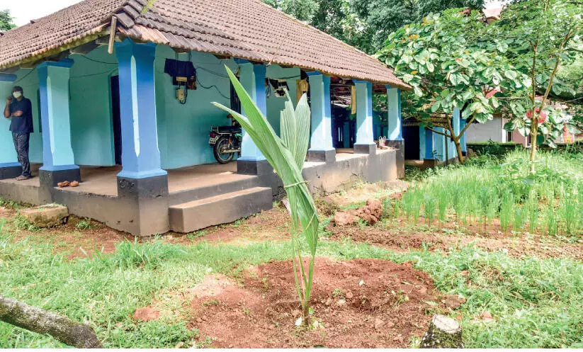 വിളവെടുപ്പിന്​ കാത്തുനിൽക്കാതെ തോട്ടക്കാരൻ യാത്രയായി