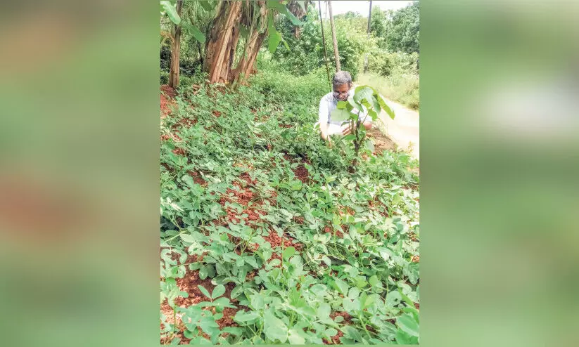 വ്യവസായങ്ങള് കൈവിട്ടപ്പോഴും പതറാതെ ഉണ്ണി വ്യവസായങ്ങള് കൈവിട്ടപ്പോഴും പതറാതെ ഉണ്ണി