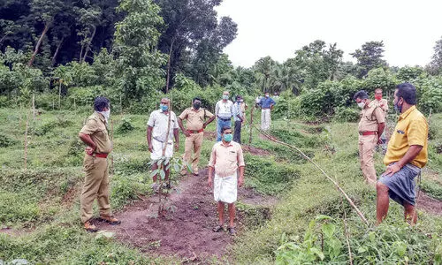 കരടിയുടെ സാന്നിധ്യം: മൂത്തേടം കല്‍ക്കുളത്ത് തിരച്ചില്‍ നടത്തി