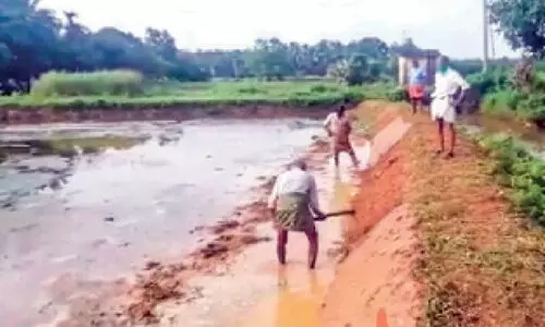 പാടത്ത്​ രണ്ടാംവിളക്കുള്ള തയാറെടുപ്പ്​