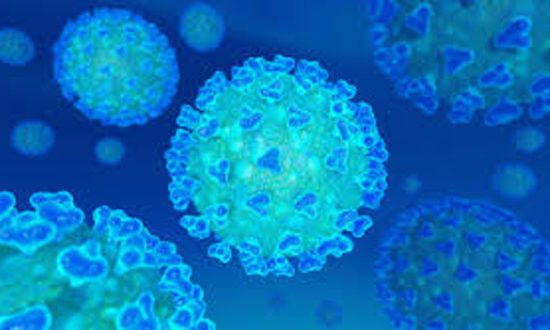 കോ​വി​ഡ്​: ഒ​മാ​നി​ൽ പ്ര​വാ​സി​ക​ളു​ടെ മ​ര​ണ​സം​ഖ്യ 200 പി​ന്നി​ട്ടു