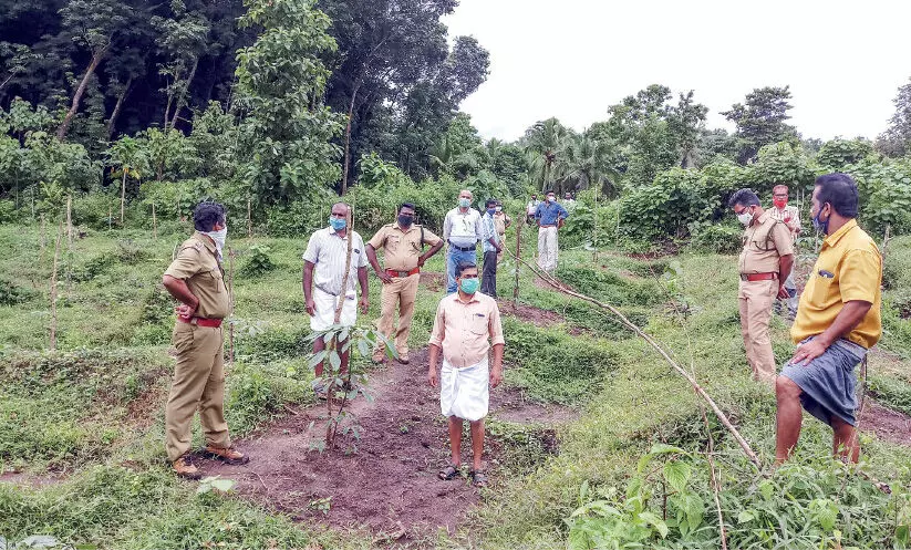 കരടിയുടെ സാന്നിധ്യം: മൂത്തേടം കല്‍ക്കുളത്ത് തിരച്ചില്‍ നടത്തി
