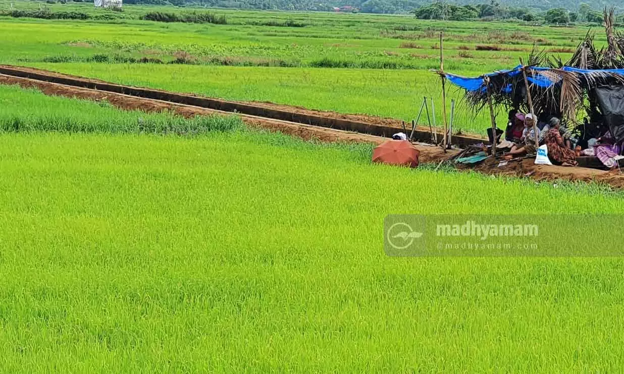 പ്രളയം തകർത്തത് 1.26 ലക്ഷം ഏക്കറിലെ കൃഷി; നഷ്ടം 2,627 കോടി