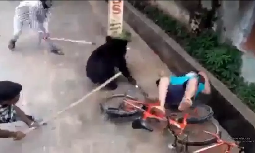 ഒഡിഷയിൽ ജനവാസ കേന്ദ്രത്തിലിറങ്ങിയ കരടി ഒരാളെ ആക്രമിച്ചു -വിഡിയോ