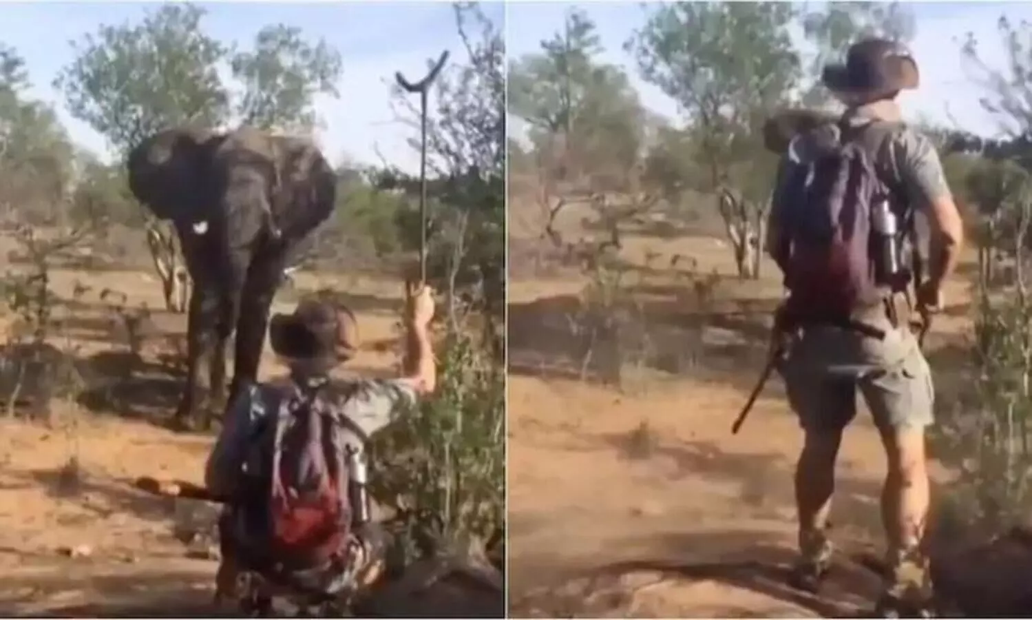 ആന കുത്താൻ വന്നാൽ എന്തുചെയ്യും?- ദാ, കണ്ടോ