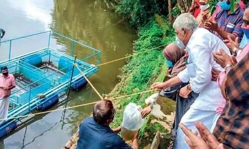 ഓരുജല മത്സ്യകൃഷിയുമായി തിരൂർ നഗരസഭ