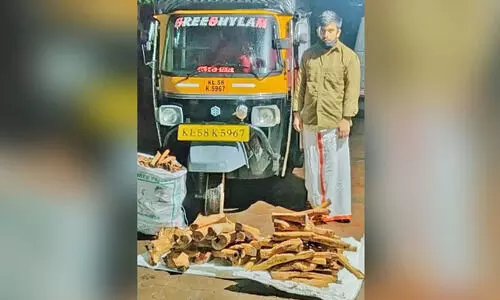 എട്ടുലക്ഷത്തി​െൻറ ചന്ദനമുട്ടികളുമായി യുവാവ്​ അറസ്​റ്റിൽ