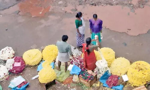 മറുനാടൻ പൂക്കച്ചവടക്കാർക്ക് ഇത് കണ്ണീരോണം മറുനാടൻ പൂക്കച്ചവടക്കാർക്ക് ഇത് കണ്ണീരോണം