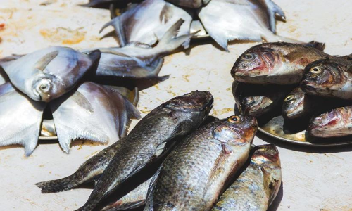 ദേശീയപാതയിലെ മത്സ്യക്കച്ചവടം അവസാനിപ്പിക്കണമെന്ന്​ മന്ത്രി സുധാകരൻ