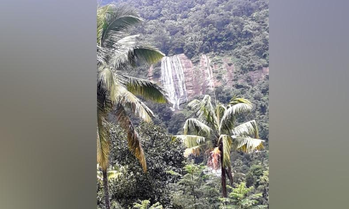 ടൂറിസം വികസനസാധ്യതകൾ വിളിച്ചോതി   മാങ്കുളത്തെ വെള്ളച്ചാട്ടങ്ങൾ