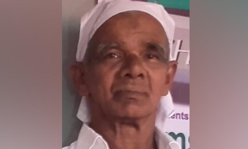 കടന്നൽ കുത്തേറ്റ്​ ചികിത്സയിലായിരുന്ന വയോധികൻ മരിച്ചു