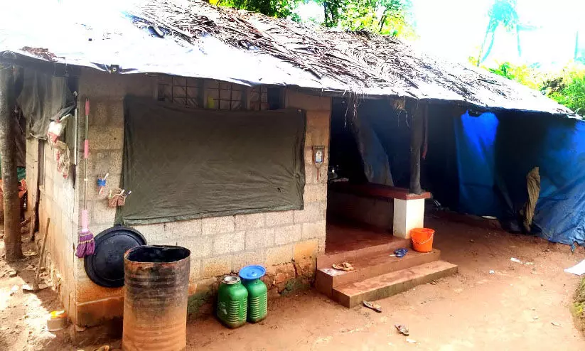 തകർച്ചയിലായ കൂരയിൽ മക്കളുടെ ഉറക്കത്തിന് കാവലിരുന്ന് ഷിനി തകർച്ചയിലായ കൂരയിൽ മക്കളുടെ ഉറക്കത്തിന് കാവലിരുന്ന് ഷിനി