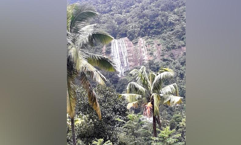 ടൂറിസം വികസനസാധ്യതകൾ വിളിച്ചോതി മാങ്കുളത്തെ വെള്ളച്ചാട്ടങ്ങൾ ടൂറിസം വികസനസാധ്യതകൾ വിളിച്ചോതി മാങ്കുളത്തെ വെള്ളച്ചാട്ടങ്ങൾ