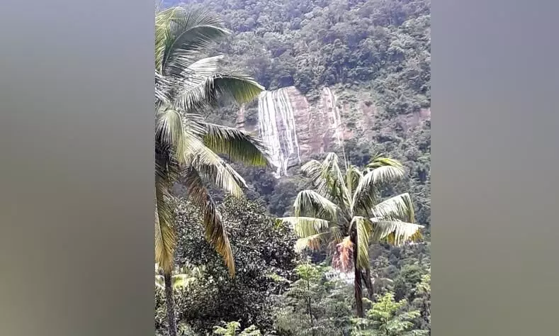 ടൂറിസം വികസനസാധ്യതകൾ വിളിച്ചോതി   മാങ്കുളത്തെ വെള്ളച്ചാട്ടങ്ങൾ