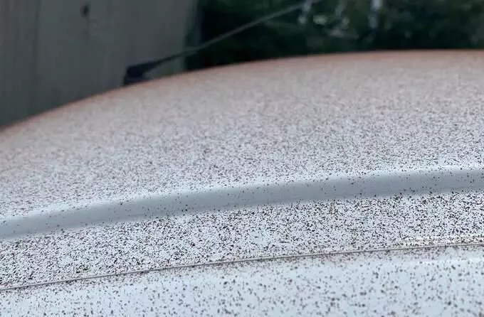 chocolate powder chocolate powder