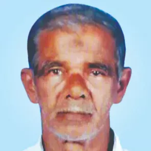 കടന്നൽ കുത്തേറ്റയാൾ മരിച്ചു കടന്നൽ കുത്തേറ്റയാൾ മരിച്ചു