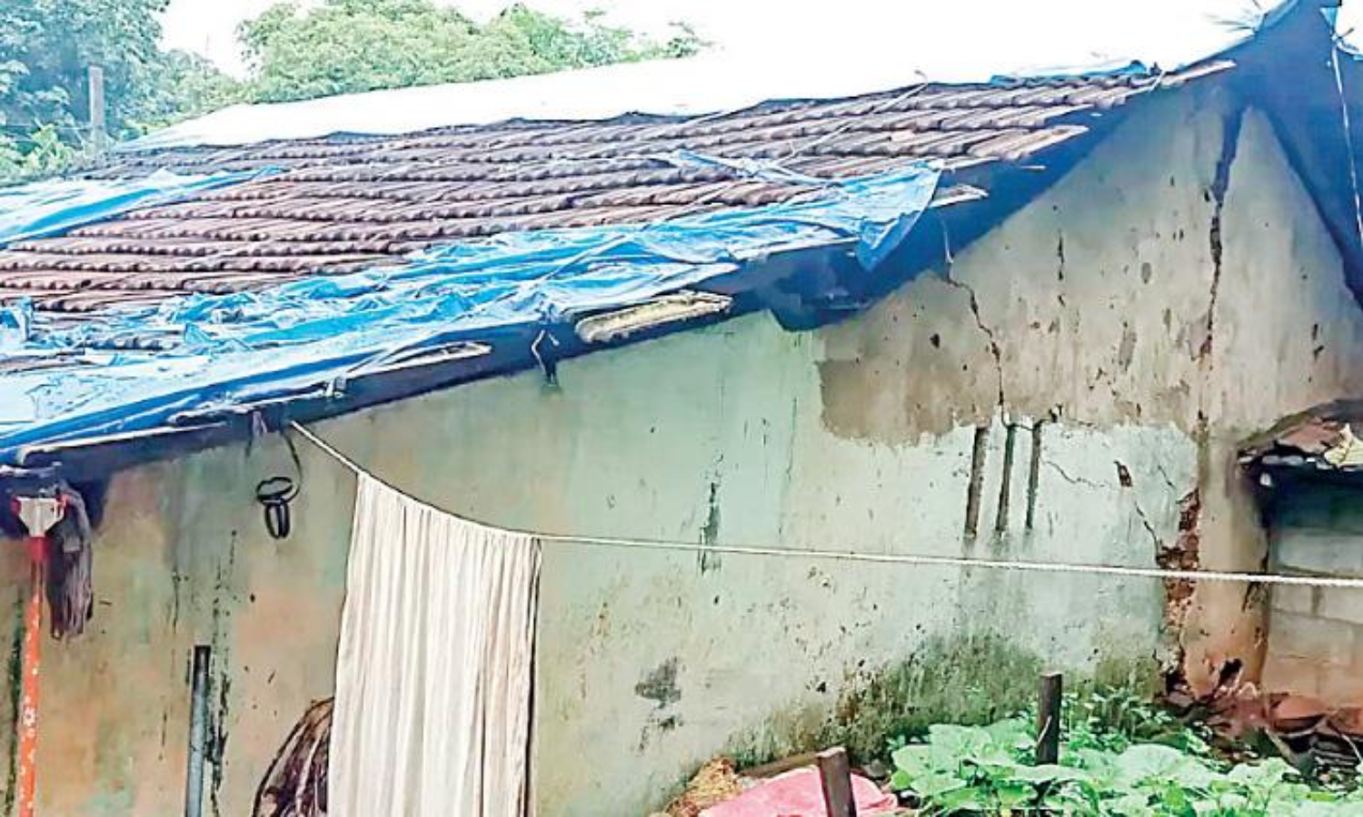 ലൈ​ഫ് ഭ​വ​ന​പ​ദ്ധ​തി​യി​ൽ അ​പേ​ക്ഷ സ്വീ​ക​രി​ച്ചു;ചോ​ക്കാ​ട് വാ​ള​ക്കു​ളം ല​ക്ഷം​വീ​ട്കോ​ള​നി​ക്കാ​ർ പ്ര​തീ​ക്ഷ​യി​ൽ