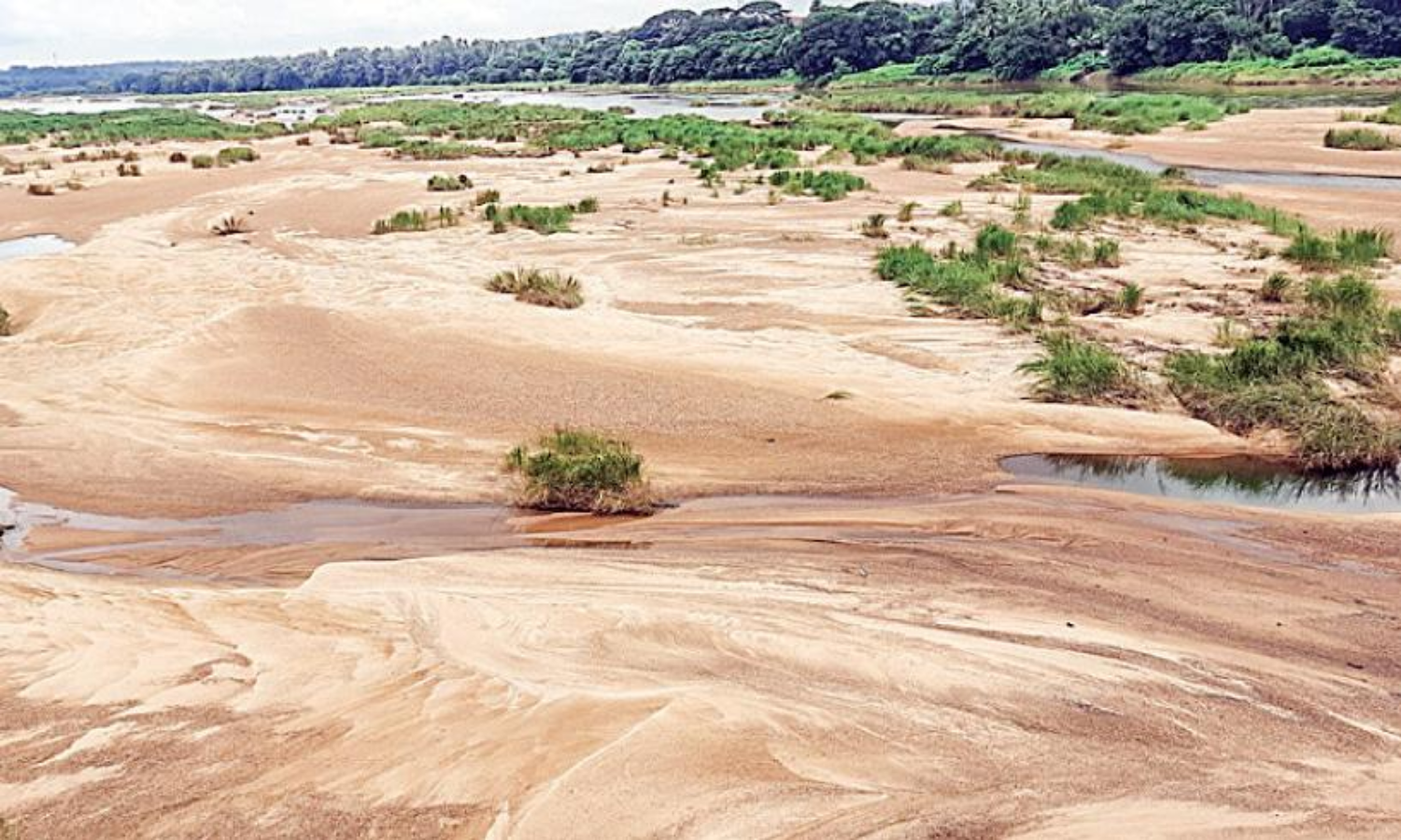 മഴ ഒഴിഞ്ഞു; നിള വരണ്ടു