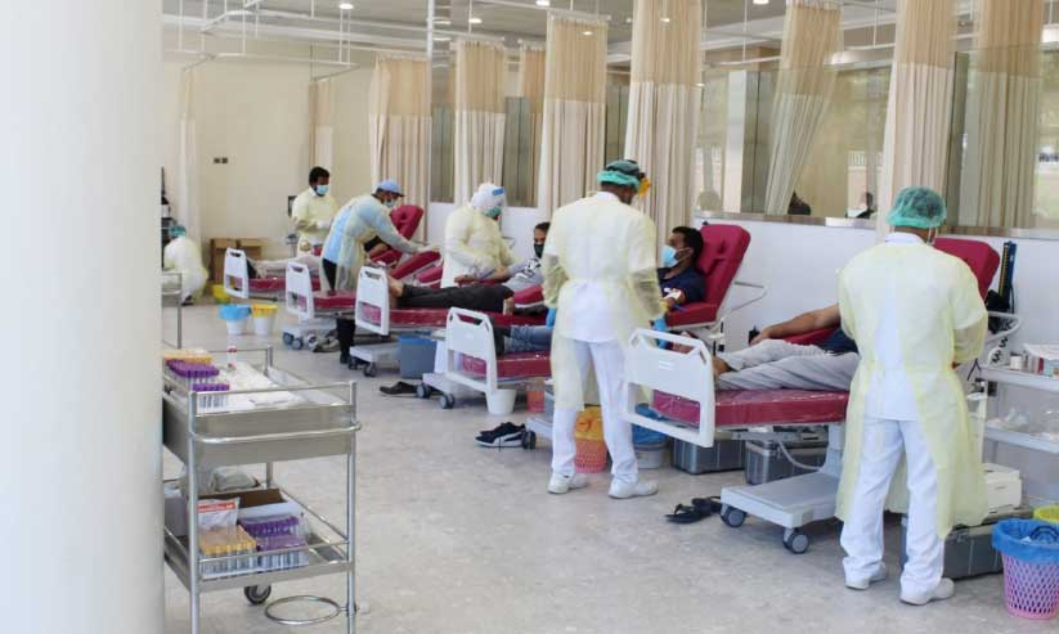 കു​വൈ​ത്ത്​ മ​ല​യാ​ളി​ക​ൾ വാ​ട്സ്ആ​പ് കൂ​ട്ടാ​യ്മ ര​ക്ത​ദാ​ന ക്യാ​മ്പ്​