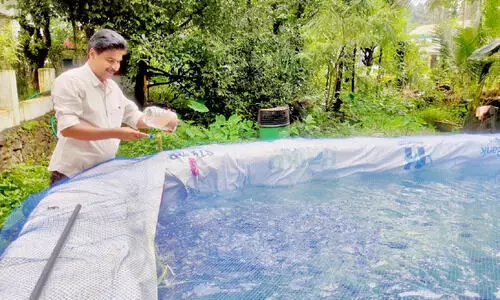 മത്സ്യകൃഷി ഇനി വീട്ടുമുറ്റത്തും; ജോ​ർ​ജ്​ പറയും വിജയകഥ