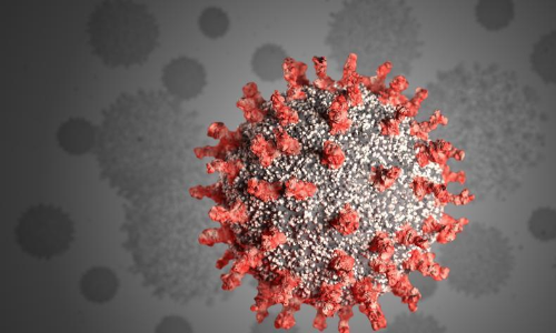 മാനദണ്ഡങ്ങൾ ലംഘിച്ച് തൊഴിലുറപ്പ് തൊഴിലാളികളുടെ യോഗം