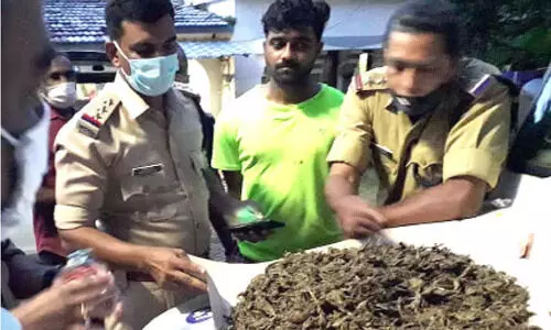 ക​ക്കൂ​സി​ലും കാ​റി​നു​ള്ളി​ൽ ര​ഹ​സ്യ അ​റ​യി​ലും കഞ്ചാവ്​ ഒ​ളി​പ്പി​ച്ച യു​വാ​വ്​ അ​റ​സ്​​റ്റി​ൽ