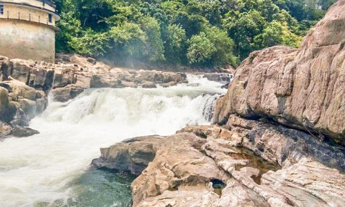 വിനോദസഞ്ചാരികളുടെ മനംകവർന്ന് പെരുന്തേനരുവി